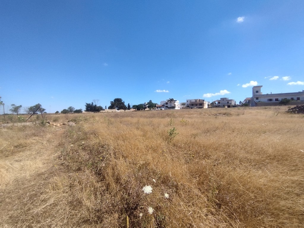 Giano Group Immobiliare